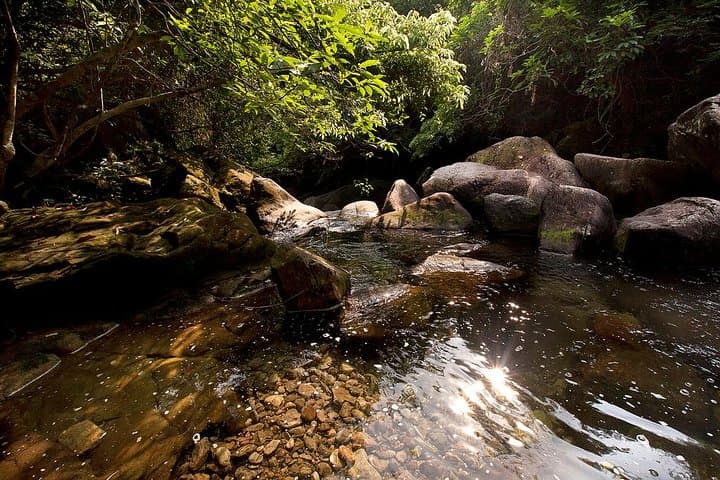 Tai Mo Shan Waterfall Hike — Ng Tung Chai Falls Guided Adventure photo 6