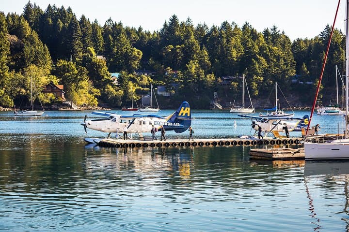 Seaplane to Sea Kayak: Full-Day Gulf Islands Adventure from Vancouver photo 6