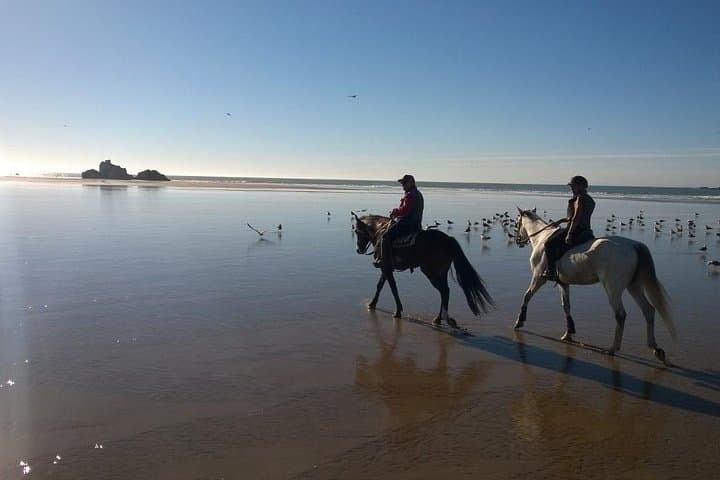 Essaouira One-Day Beach Horseback Ride with Lunch