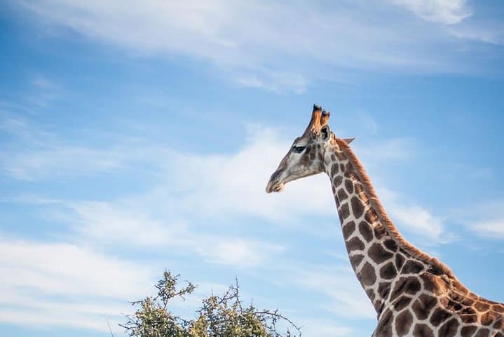 3-Day Private Garden Route Tour: Oudtshoorn Caves, Wilderness Canoe & 4x4 Safari photo 6