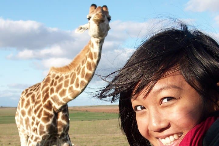 2-Day Western Cape 4x4 Wildlife Safari from Cape Town photo 5