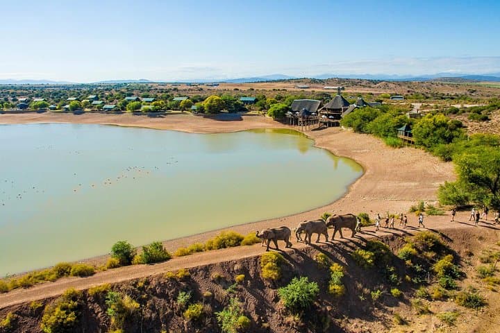 2-Day Western Cape 4x4 Wildlife Safari from Cape Town photo 6