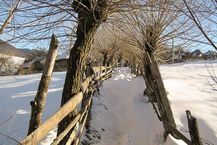 Winter Hiking in the Carpathians: Transylvania Trails, Ice Hotel & Medieval Villages photo 2