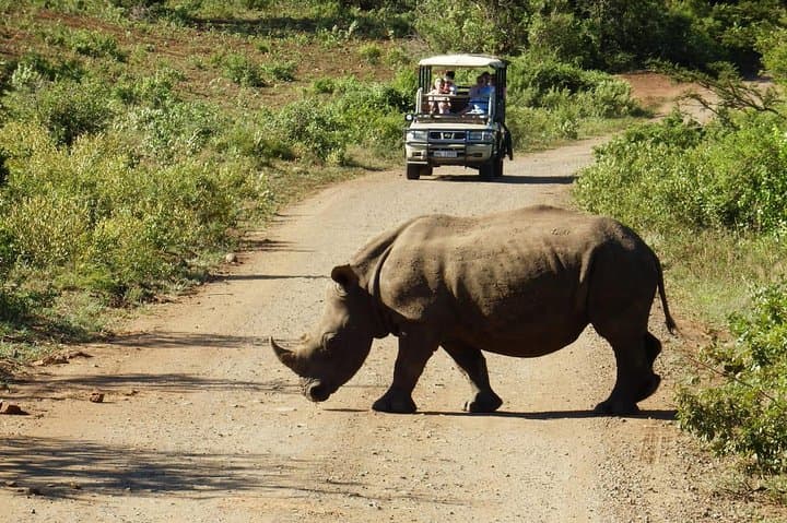 2-Day Western Cape 4x4 Wildlife Safari from Cape Town photo 2