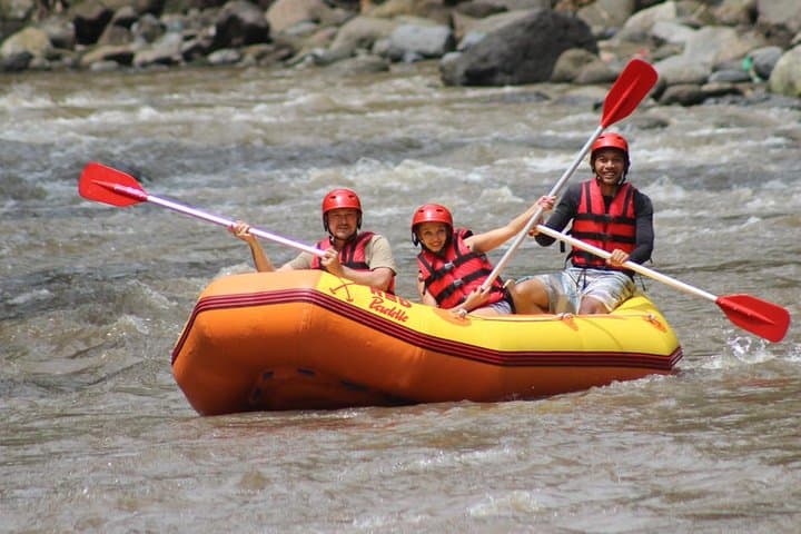Ayung River White Water Rafting — Ubud's Scenic Rapids Adventure photo 4