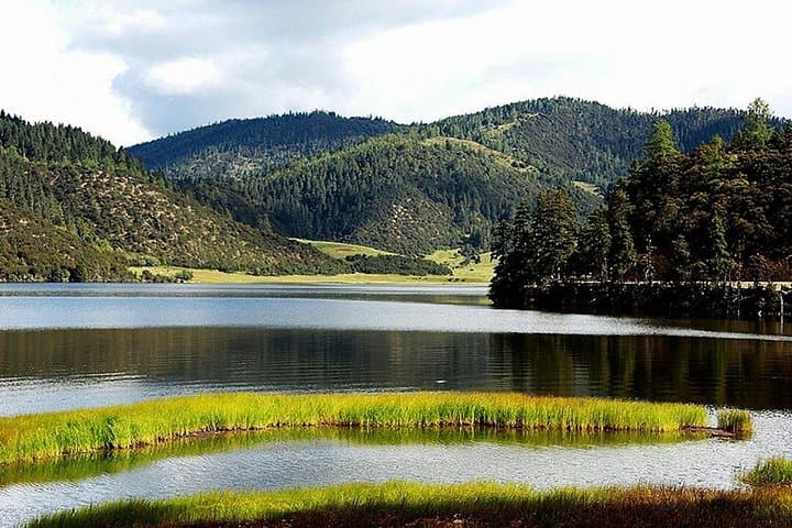 Shangri-La Day Tour: Songzanlin Monastery & Pudacuo National Park (Shudu Lake) photo 4