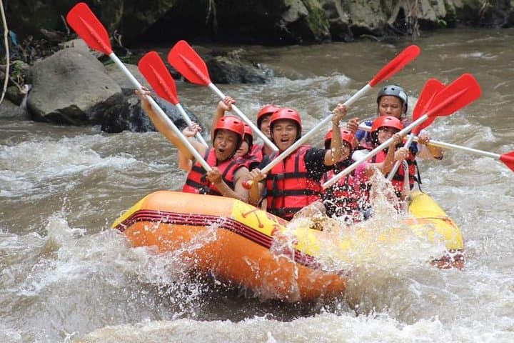 Ayung River White Water Rafting — Ubud's Scenic Rapids Adventure photo 5