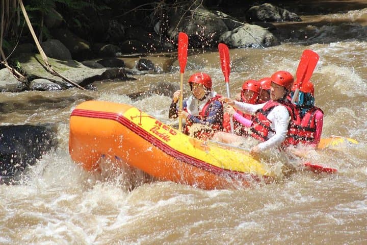 Ayung River White Water Rafting — Ubud's Scenic Rapids Adventure photo 6