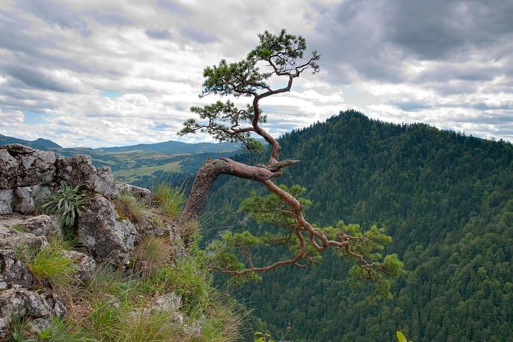 Dunajec River Rafting from Krakow — Half-Day Pieniny Gorge Adventure photo 5