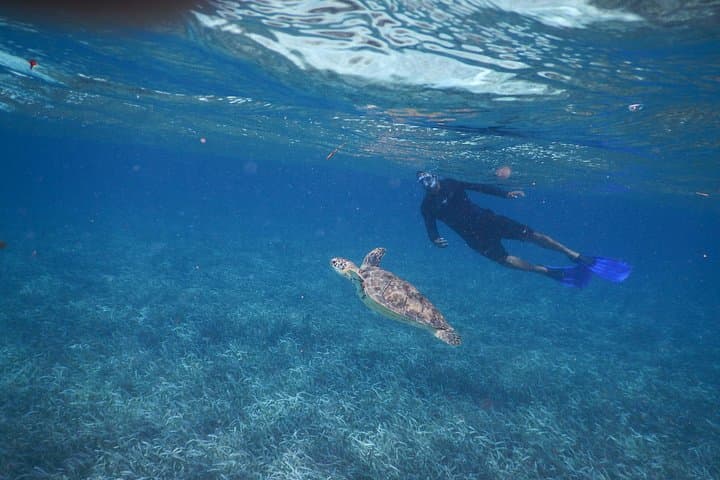 Full-Day Snorkeling at Hol Chan & Shark Ray Alley from Caye Caulker photo 1