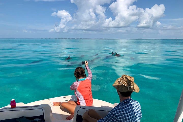 Islamorada Half-Day Private Boat Tour: Mangroves, Snorkel at Cheeca Rocks & Alligator Reef photo 1