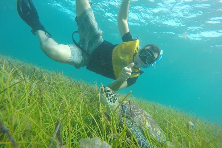 Isla Mujeres Catamaran Snorkel Tour with Free Transport and Open Bar photo 6