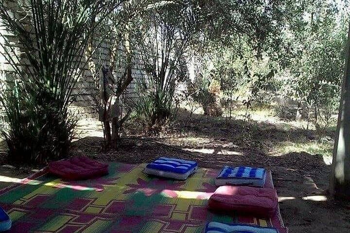 Live Like a Farmer: Egypt Countryside Rural Life Day Tour from Giza photo 2