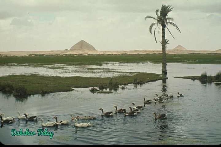 Live Like a Farmer: Egypt Countryside Rural Life Day Tour from Giza photo 4