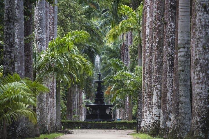 Jeep Tour: Rio Botanical Garden & Tijuca Rainforest Adventure photo 3