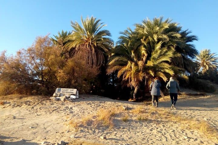 White Desert & Bahariya Oasis: 2-Day Camping Safari from Cairo photo 6
