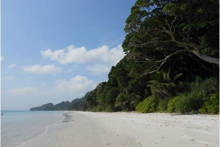 Havelock Island Day Trip from Port Blair: Radhanagar Beach & Ferry Ride photo 2