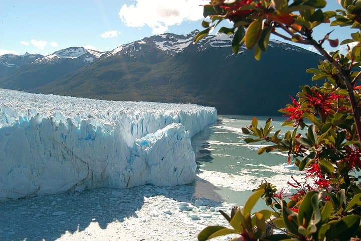 Perito Moreno Glacier: Full-Day Tour from El Calafate with Optional Boat Navigation photo 5