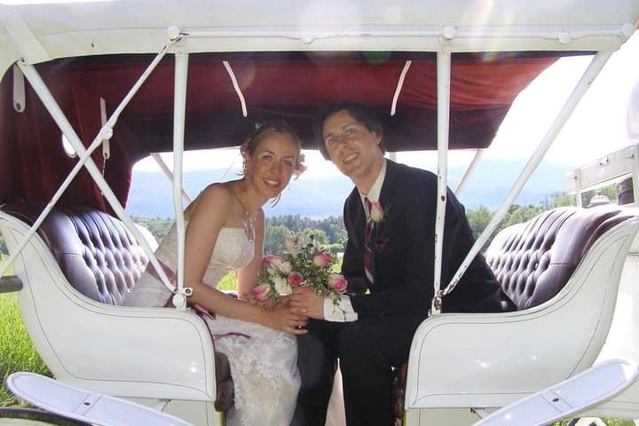 Central Park Romantic Horse-Drawn Carriage Ride — VIP Private 45-Min Experience