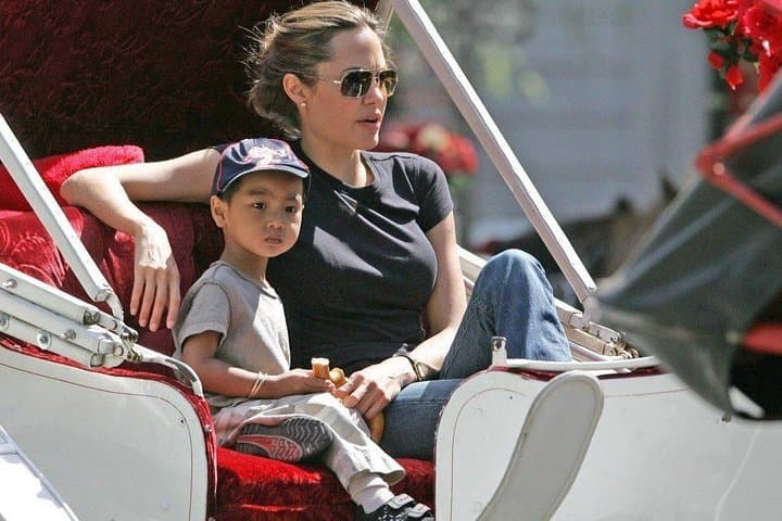 Central Park Romantic Horse-Drawn Carriage Ride — VIP Private 45-Min Experience photo 5