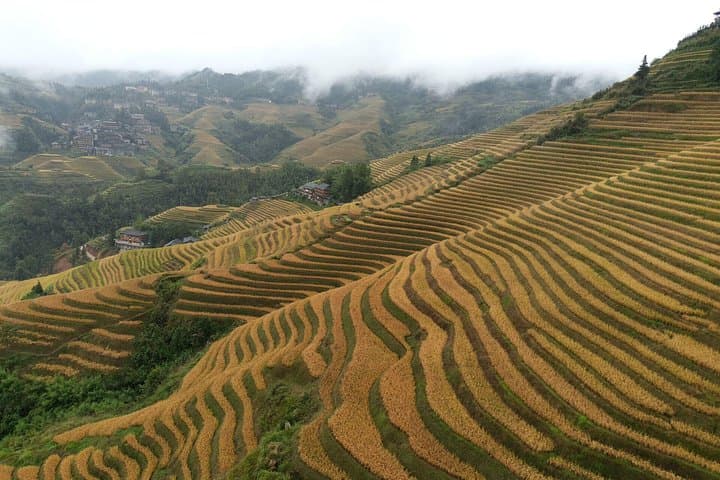 Longji Rice Terraces & Dazhai Cable Car Day Tour — Dragon's Backbone from Guilin photo 4