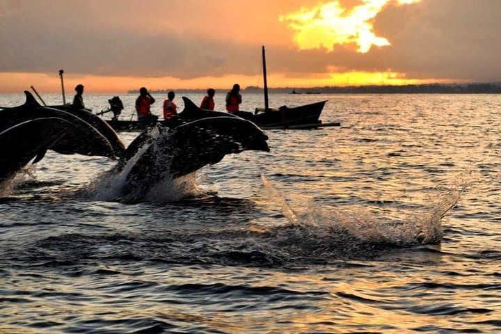 Sunrise Dolphins and North Bali Highlights: Lovina to Bedugul Private Tour photo 2