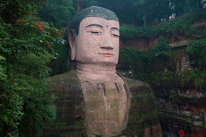 Chengdu Panda Base & Leshan Giant Buddha Day Tour — Pandas, Pilgrims & River Views photo 6