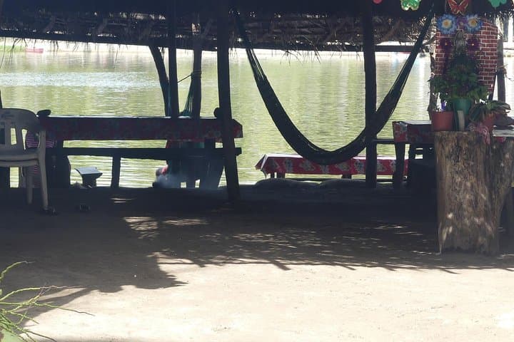 Tres Palos Lagoon Turtle Release & Crocodile Farm Eco‑Tour (Acapulco) photo 4