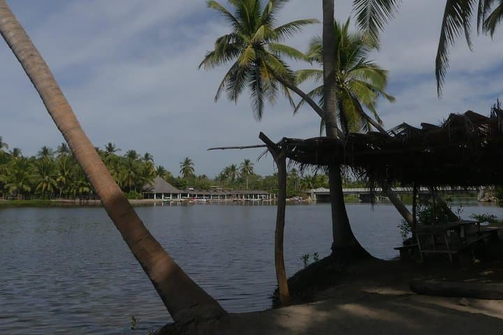 Tres Palos Lagoon Turtle Release & Crocodile Farm Eco‑Tour (Acapulco) photo 5