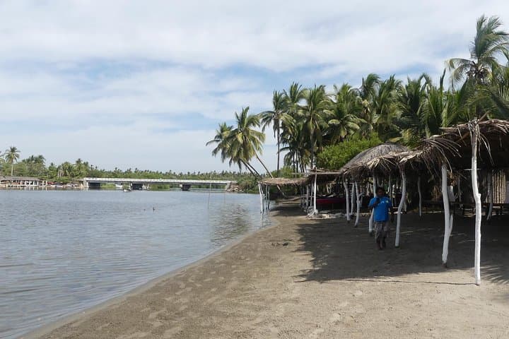 Tres Palos Lagoon Turtle Release & Crocodile Farm Eco‑Tour (Acapulco) photo 6