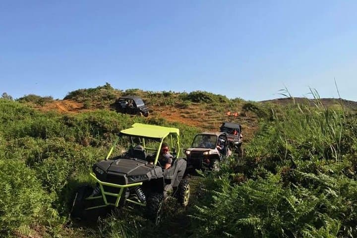 Beirut Full-Day RZR Buggy Off-Road Adventure — Barouk, Cedars & Tannourine