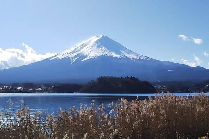 Private Mt. Fuji Day Tour from Tokyo: Kawaguchiko, Aokigahara & Wind Cave photo 1