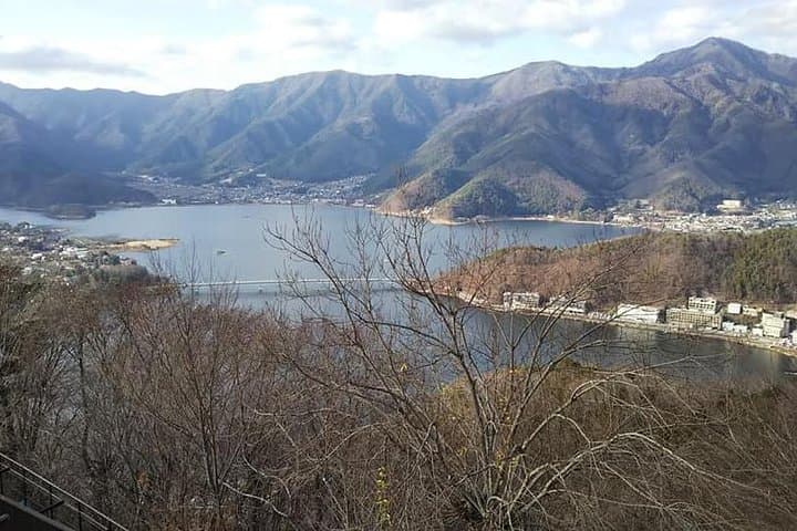 Private Mt. Fuji Day Tour from Tokyo: Kawaguchiko, Aokigahara & Wind Cave photo 2