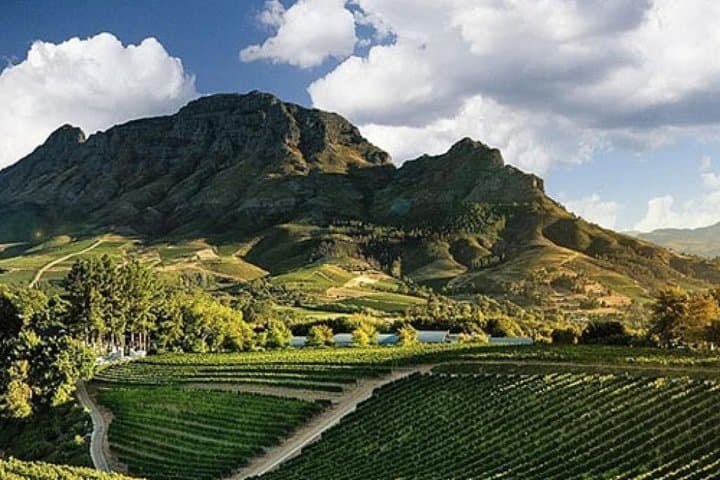 Splendour in the Winelands: Private Stellenbosch Wine Tour from Cape Town photo 4