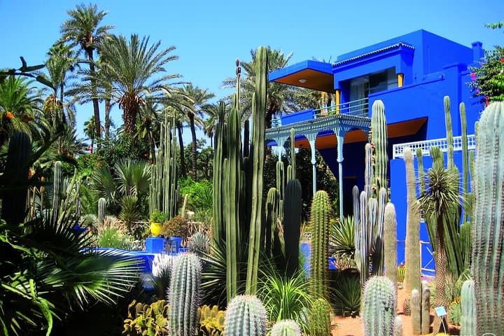 Private Marrakech Day Trip from Casablanca — Full-Day Guided Medina Tour photo 4