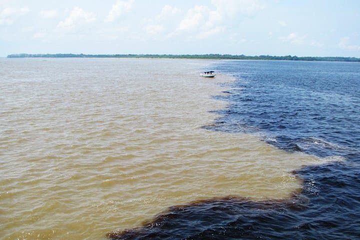 Meeting of the Waters & Pink Dolphin Tour — Manaus Amazon River Adventure