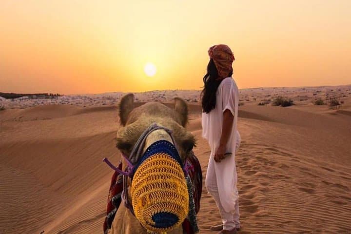 Red Sand Bashing Desert Safari in Dubai — Dune Bashing, Camel Rides & Bedouin Camp photo 4