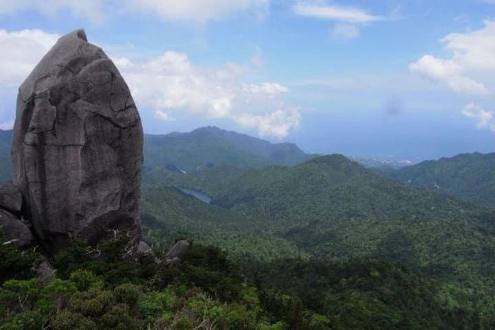 Tenchu-seki Granite Obelisk Trek on Yakushima — Full-Day Ancient Cedar Forest Ascent