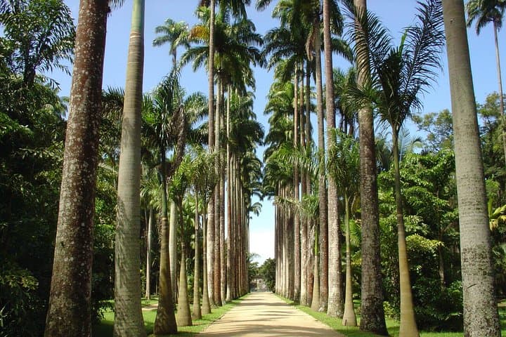 Customize Your Own Rio de Janeiro Private Tour — 6-Hour Flexible City Experience photo 5