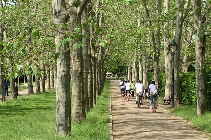 Prague Panoramic Bike Tour: Castle Views, Letná Park & City Sights photo 5