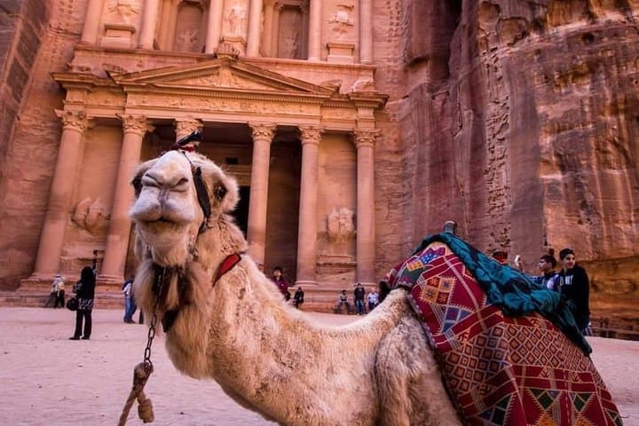 One-Day Petra and Wadi Rum Adventure from Aqaba — Siq, Treasury & Desert Jeep