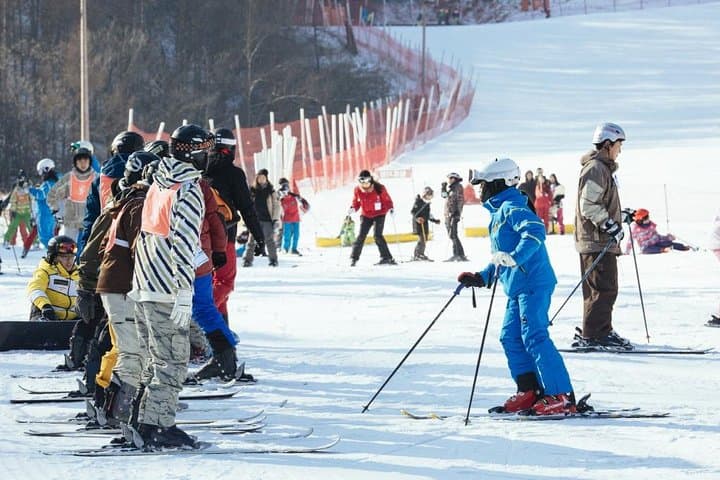 Nami Island to Elysian: A Private Seoul Day Trip with Beginner Ski Lesson