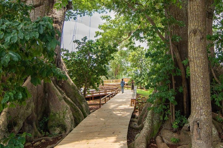 Exploring Jamaica Giants Sculpture Park: Art, Forest Trails & Negril Culture photo 2