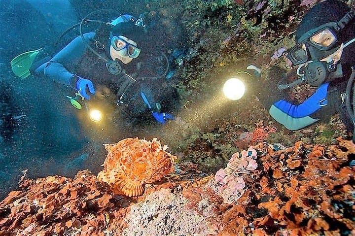 Aruba After-Dark: 1-Tank Guided Night Dive for Certified Divers photo 3