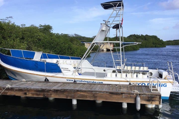 Aruba Morning 2‑Tank Guided Dive: Reefs & Wrecks for Certified Divers