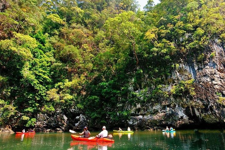 Ao Thalane Kayaking: Krabi's Mangrove Canyons & Limestone Karsts photo 3