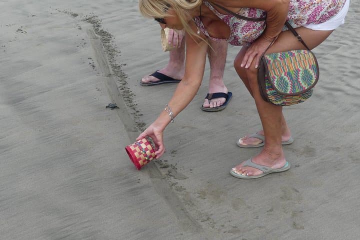 Acapulco Horseback Ride & Baby Turtle Release at Afro-Mex Village photo 6
