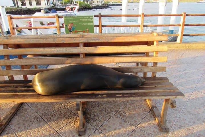 Galapagos Surprising: 4-Day Santa Cruz & Isabela Island Adventure photo 2