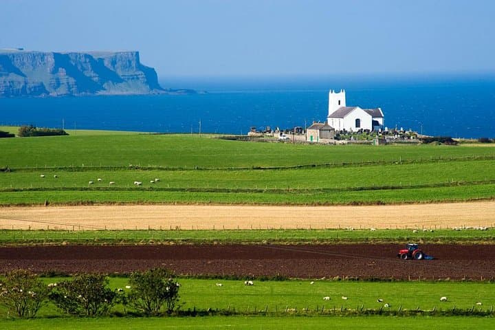 Giant's Causeway Full-Day Tour: Dark Hedges, Dunluce & Carrick-a-Rede photo 5