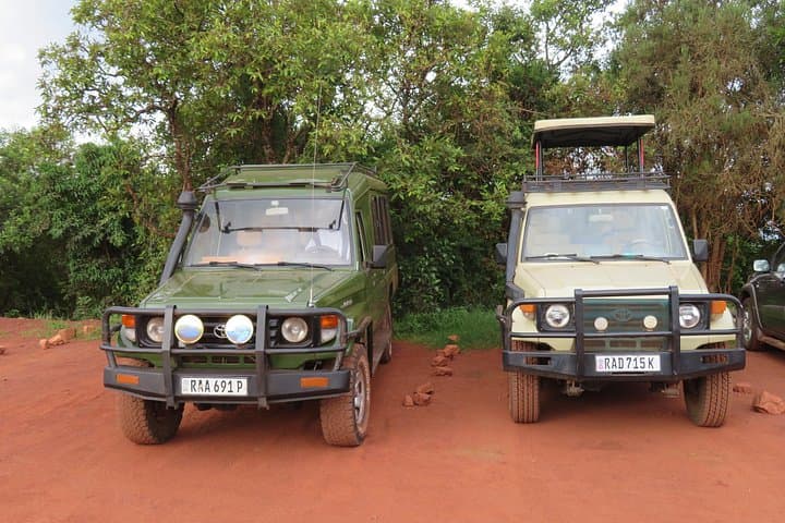 Day Trip to Akagera National Park from Kigali — Lake Ihema Wildlife Safari